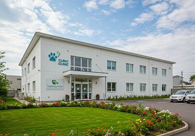 Veterinaria San Martín